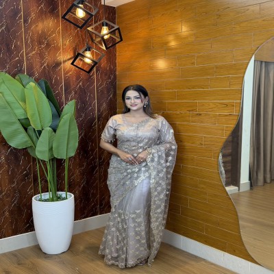 Indian Inspired Net Saree